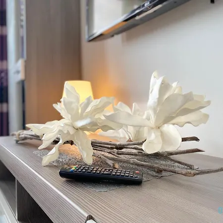 Violet Apartment Daire *